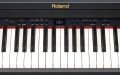 ROLAND RP-301R SB